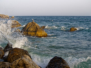 The waves of the sea surf are splashing against the stones of the shore