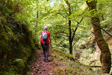 Obraz premium old woman with gray hair hiking on a mountain path and daring a forest.