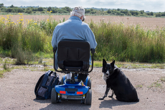 Collie dog sits by his elderly owner.