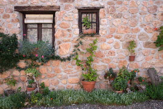 stone facade with different flowers
