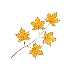 Drawing of a branch with yellow maple leaves. Autumn season. Vector isolated art illustration on white background