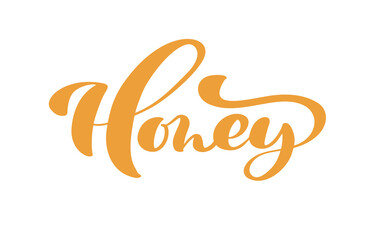 Honey calligraphy Vector lettering text. bee hand lettering word in orange color isolated on white background. Concept for logo card, typography poster, print