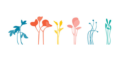 Logo farm. Microgreens and organic food. Vector isolated logotype.