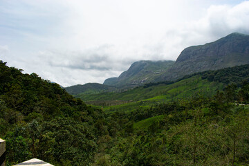 Fototapeta premium landscape photos from Munnar, Kerala