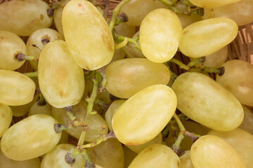 A bunch of juicy sweet grapes , close-up, top view.