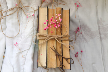 old vintage books on a light background