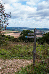 A crossing of the ways: footpaths marked by signposts on Bow Hill in Kingley Vale National Nature Reserve, West Sussex, England, UK