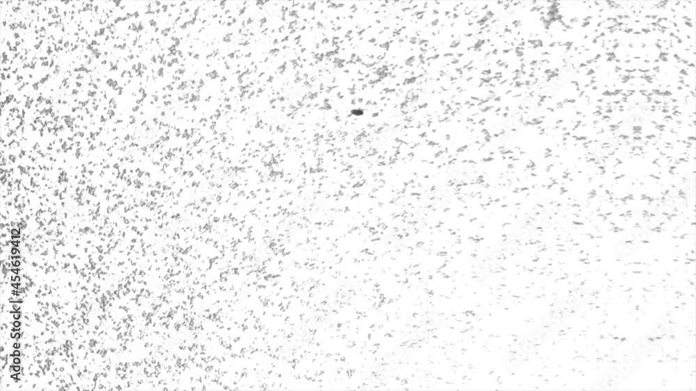 Poster grainy abstract texture with tv noise effect on white background, seamless loop. animation. many bli