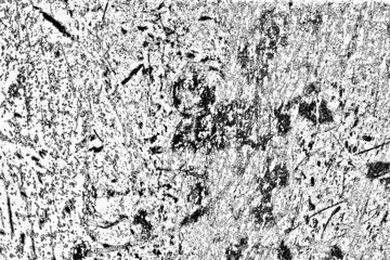 Fototapeta premium Abstract background. Monochrome texture. Image includes a effect the black and white tones.