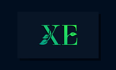 Minimal leaf style Initial XE logo