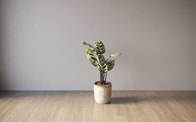 Interior with decorative indoor plants on empty wall background, 3D illustration, cg render