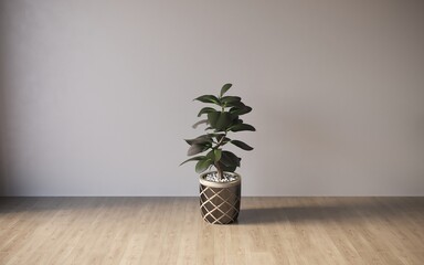 Interior with decorative indoor plants on empty wall background, 3D illustration, cg render