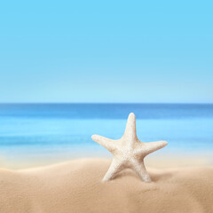 Obraz na płótnie Canvas Beautiful sea star on sandy beach near ocean