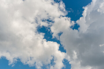 Fototapeta premium cumulus clouds in a blue sky
