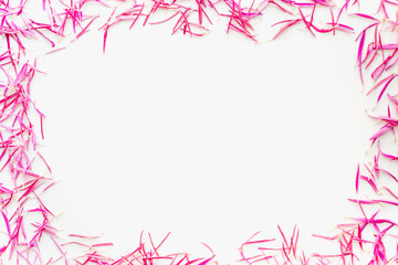 Obraz na płótnie Canvas pink flower frame