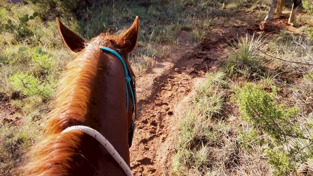 Horseback riding on a trail in the Palo Duro Canyon, Texas