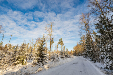 Beautiful view of winter scape. Country road in snow forest. Beautiful nature winter background. Sweden.
