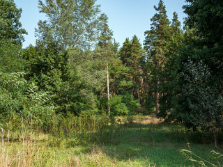 Obraz premium Summer day landscape