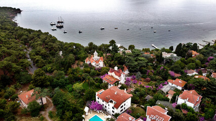 Aerial view with drone over Büyükada the Princes Island in the Sea of Marmara Turkey Istanbul with many trees and villas. Recreation area