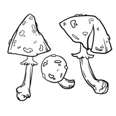 coloring book for children. tattoos. magic mushrooms. black line