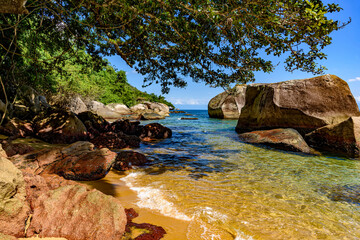 Paradisiacal beach of green and transparent waters surrounded by the forest in Ilha Grande, Angra dos Reis, Rio de Janeiro