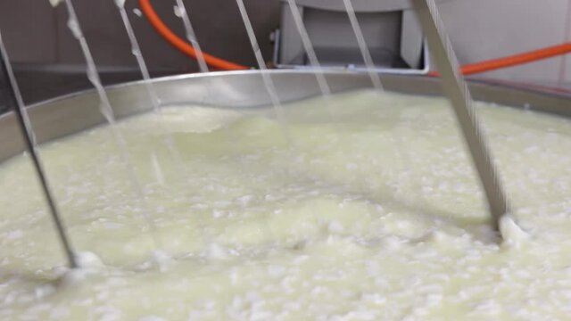 Male worker in gloves mixing and cutting pieces of a soft cheese in the vat with a big razor instrument