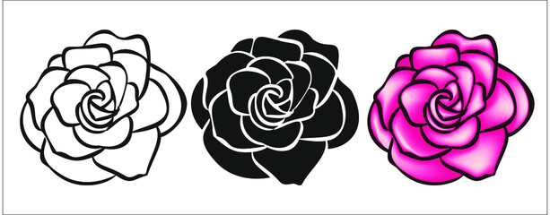 Rose flower head isolate on white background