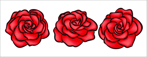 Rose flower set , flower head for logo or card isolate on white background