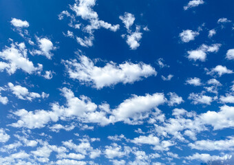 bright white fluffy clouds in the blue sky as overcast sunny high noon day scene