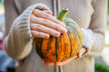 Closeup natural autumn fall view woman hands holding yellow pumpkin. Inspirational nature october or september wallpaper. Change of seasons, ripe organic food concept Halloween party Thanksgiving day - obrazy, fototapety, plakaty