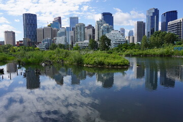 Fototapeta na wymiar Prince's Island Park With Calgary Skyline, Alberta, Canada.