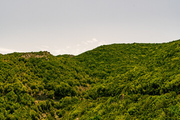 Paisaje en Teno Alto, isla de Tenerife