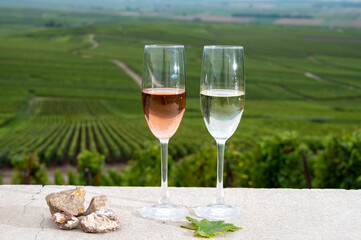 Glasses of white and rose brut champagne wine, firestones from vineyards soil and view on grand cru vineyards of Montagne de Reims near Verzenay, Champagne, France
