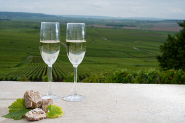 Glasses of brut champagne wine, firestones from vineyards soil and view on grand cru vineyards of Montagne de Reims near Verzenay, Champagne, France