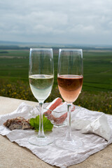 Glasses of white and rose brut champagne wine and examples of vineyard soils, white chalk stones and firestones and view on grand cru vineyards of  Montagne de Reims near Verzenay, Champagne, France