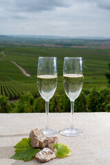 Glasses of brut champagne wine, firestones from vineyards soil and view on grand cru vineyards of Montagne de Reims near Verzenay, Champagne, France