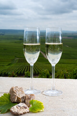 Glasses of brut champagne wine, firestones from vineyards soil and view on grand cru vineyards of Montagne de Reims near Verzenay, Champagne, France