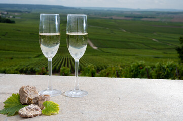 Glasses of brut champagne wine, firestones from vineyards soil and view on grand cru vineyards of Montagne de Reims near Verzenay, Champagne, France
