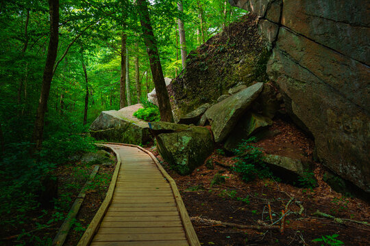 Boardwalk in the green forest at Purgatory Chasm Park in Massachusetts. Curved footpath between the rock cliff and wetland in the state preservation in New England.