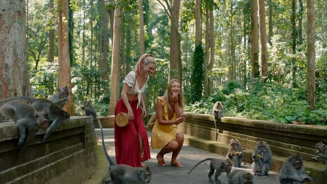 two women using smartphone taking photos of monkeys in forest zoo girl friends sharing travel adventure on mobile phone social media discover bali indonesia 