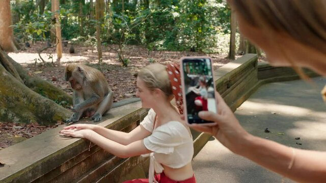 tourist woman using smartphone taking photo of friend posing with monkey in wildlife zoo having fun sharing travel adventure 