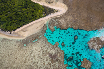 Lady Musgrave Island Reef
