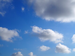 Obraz premium 空