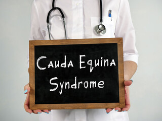 Healthcare concept about Cauda Equina Syndrome with sign on the page.