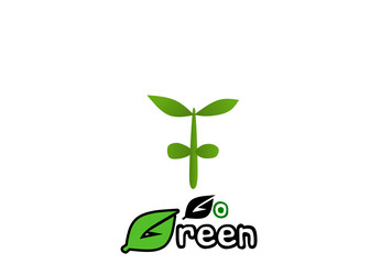 green plant growing from the ground