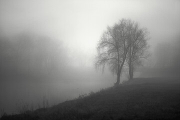 Fototapeta na wymiar fog in the river