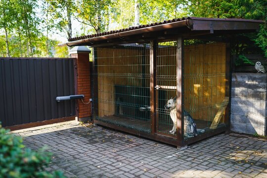 outdoor dog kennel enclosure on front yard