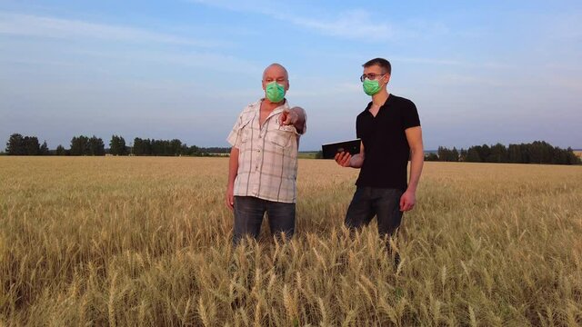 Young and elderly farmers or agronomists in face masks with tablet discuss the harvest in wheat field at sunset. Virus Infection pandemic flu corona virus 2019-ncov. High quality 4k footage