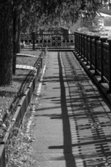 Details of the city's architecture - a symmetrical shadow on the asphalt from a heavy forged fence, black and white photo