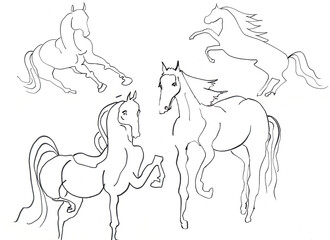 Fototapeta na wymiar horse hand drawn illustration,art design